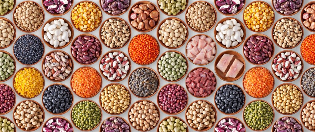 Réservez la date – Collaborer autour de la diversification des protéines