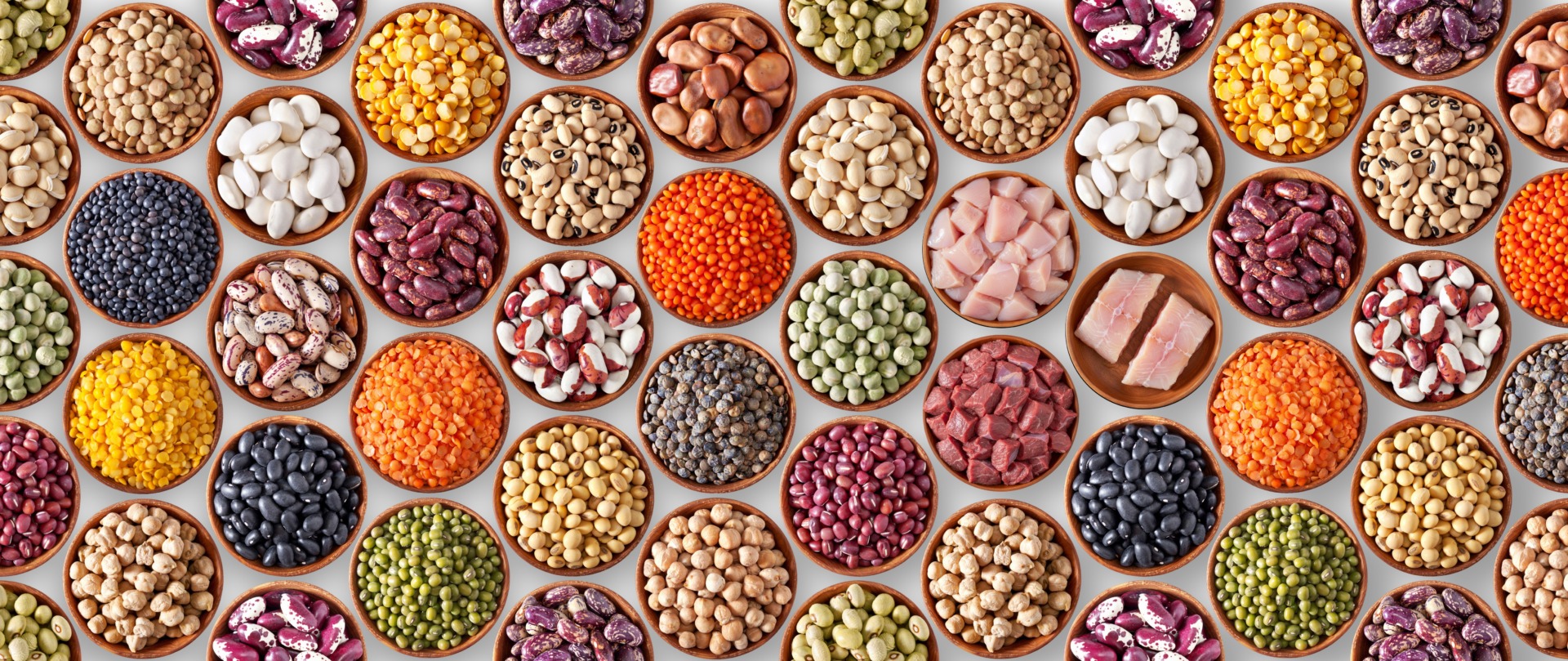 Réservez la date – Collaborer autour de la diversification des protéines