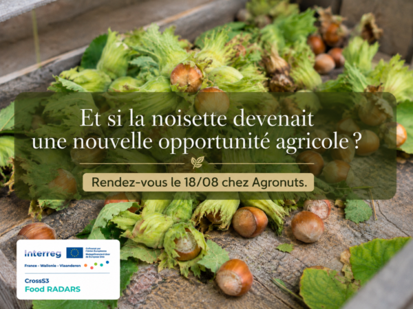 Filière noisette – Construire ensemble une chaîne de valeur locale, innovante et performante